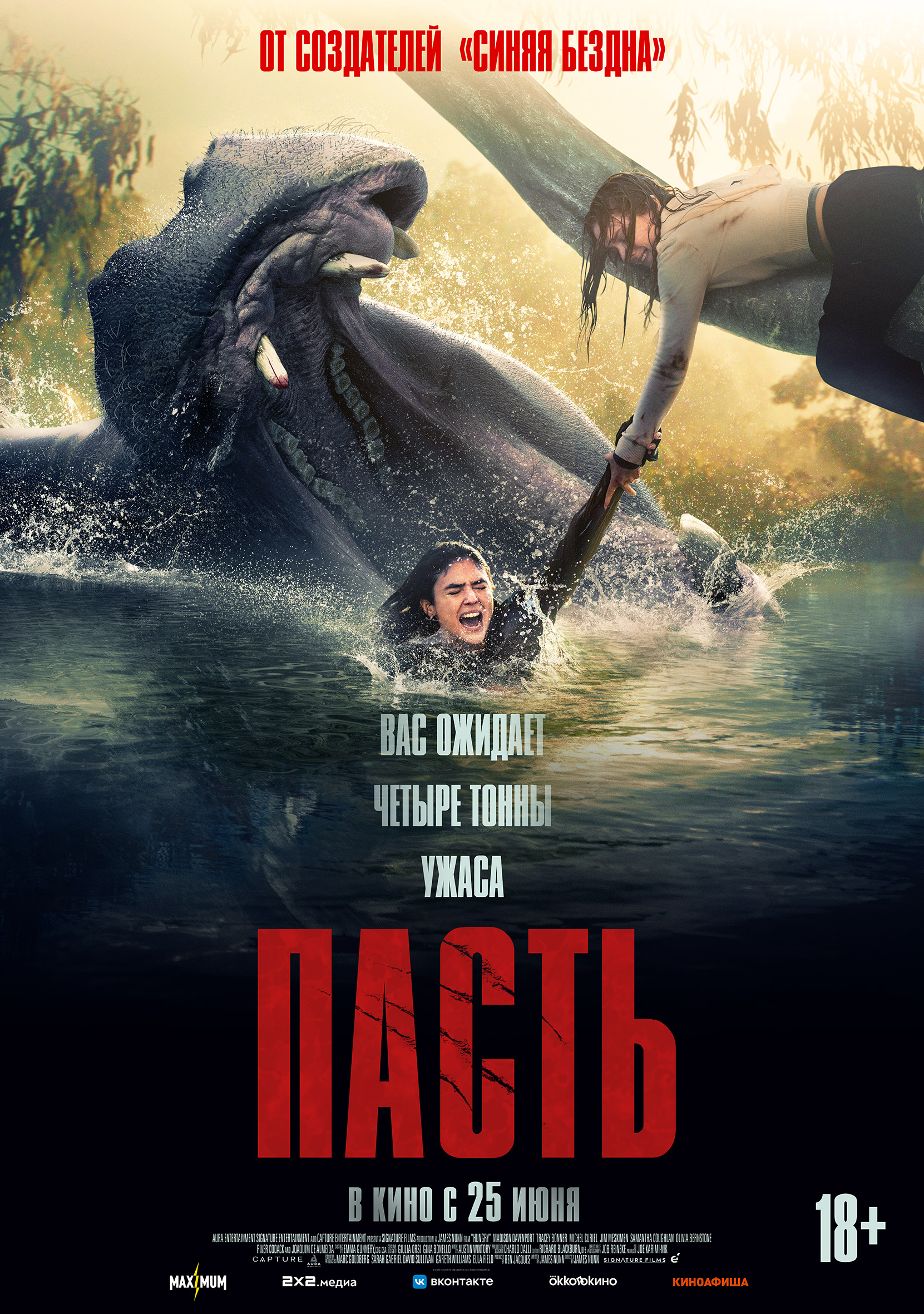 Пасть