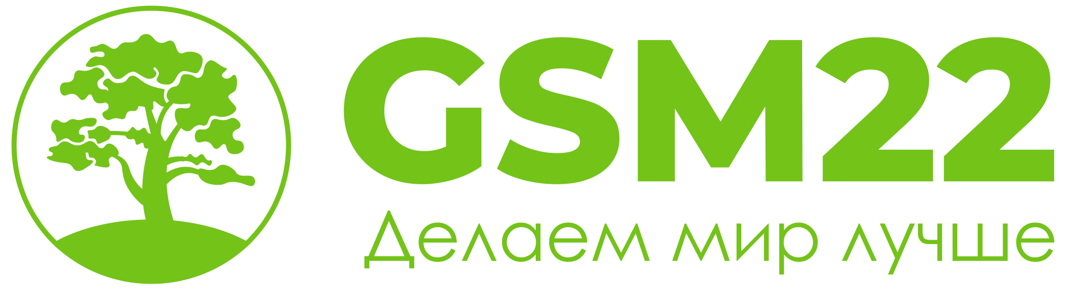GSM22