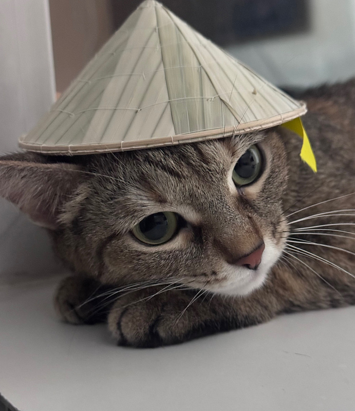 УНА