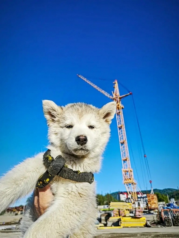 Юки
