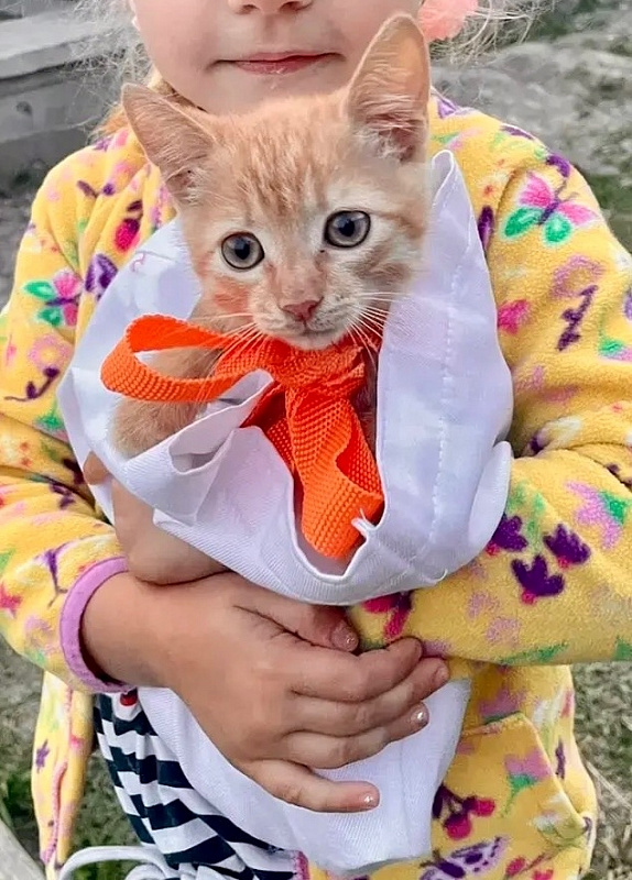Василий