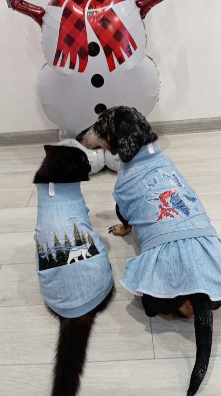 Тося