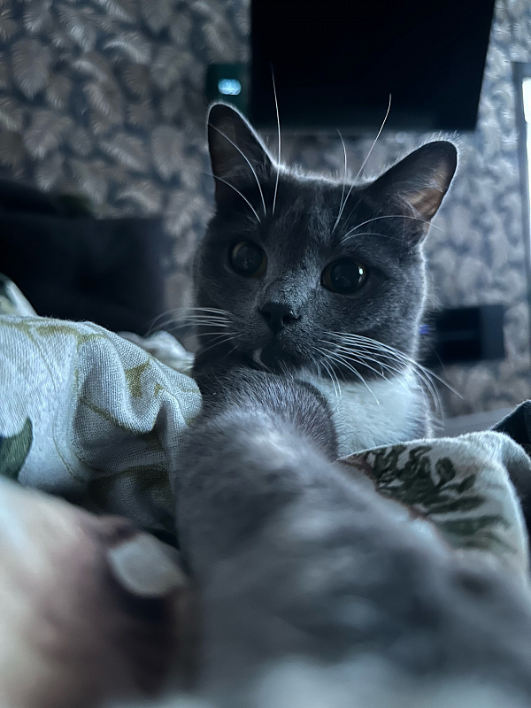 Василий