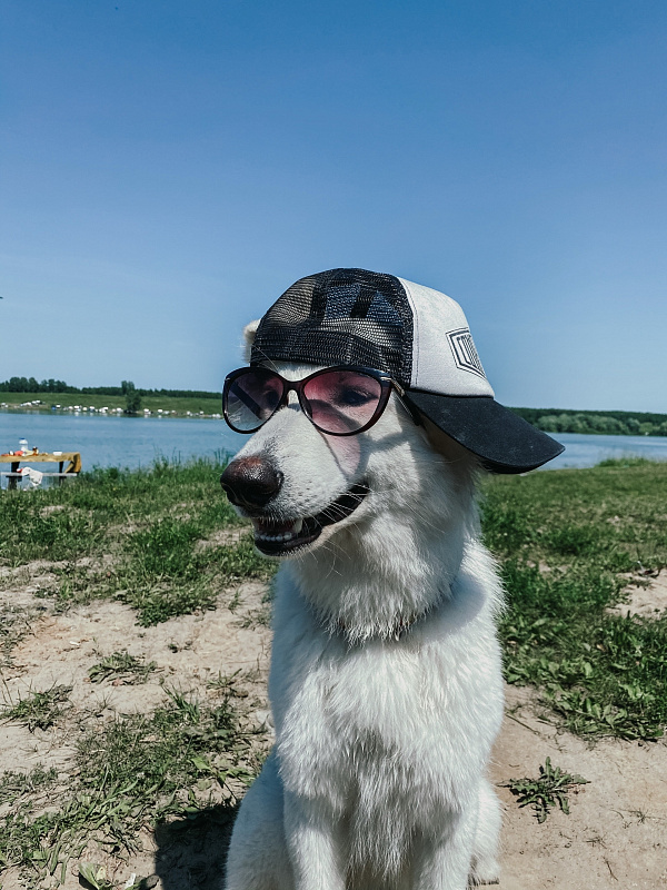 Юта