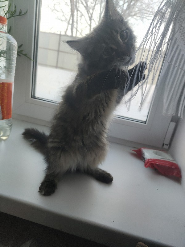 Моя Бусинка