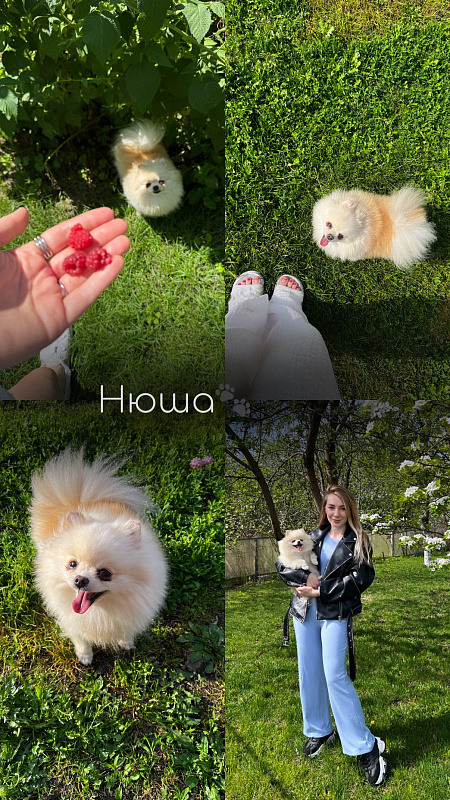 Нюша